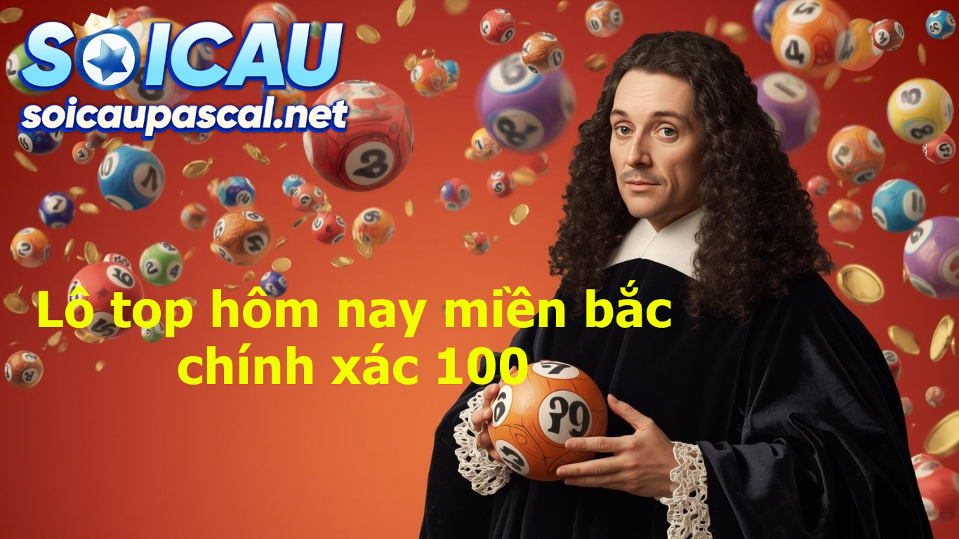 lô top